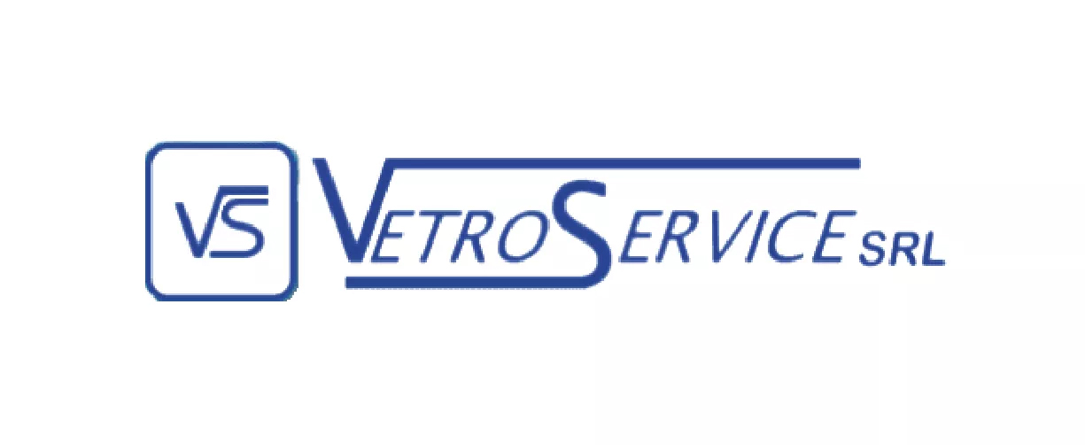Logo Vetroservice POS